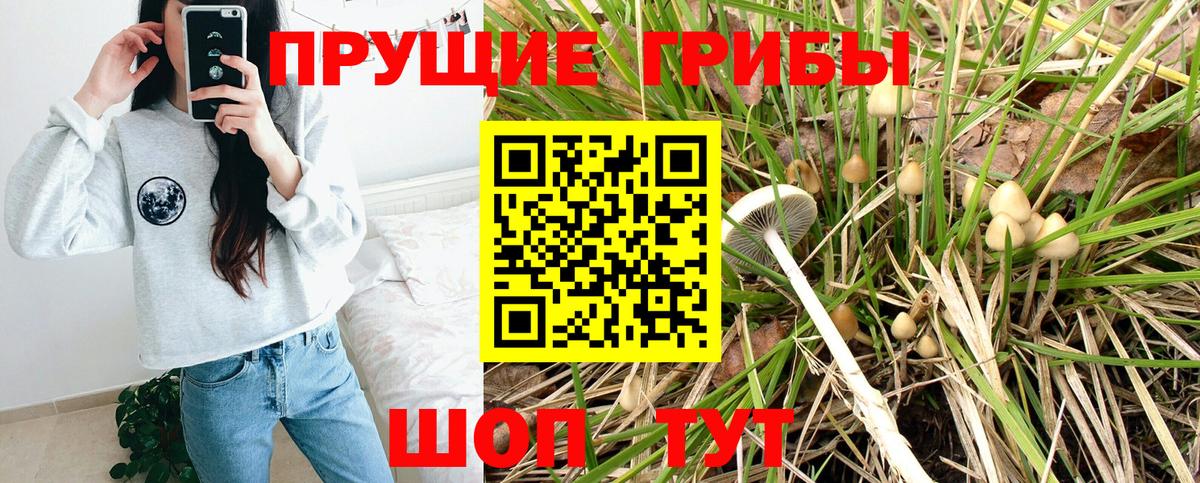 Псилоцибиновые грибы ЛСД Шебекино