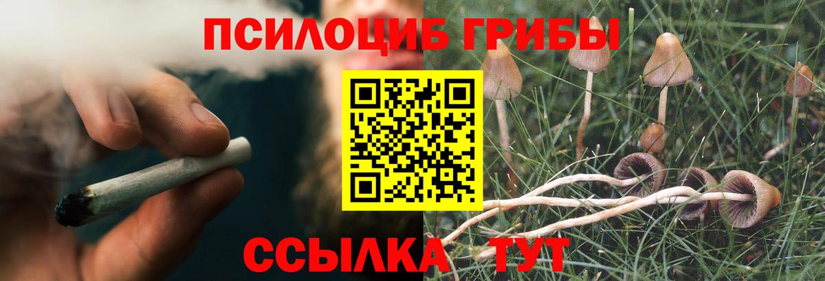 Шебекино  Псилоцибиновые грибы Magic Shrooms  Вход с VPN 