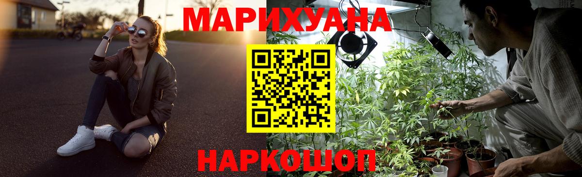 Бошки марихуана VHQ Шебекино